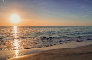 Florida addiction treatment at beach