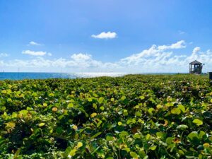 Florida addiction treatment near deerfield beach