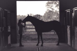 equine activity for adventure therapy