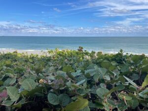 Florida Beachside Rehab Housing