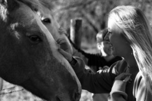 horse therapy for addiction